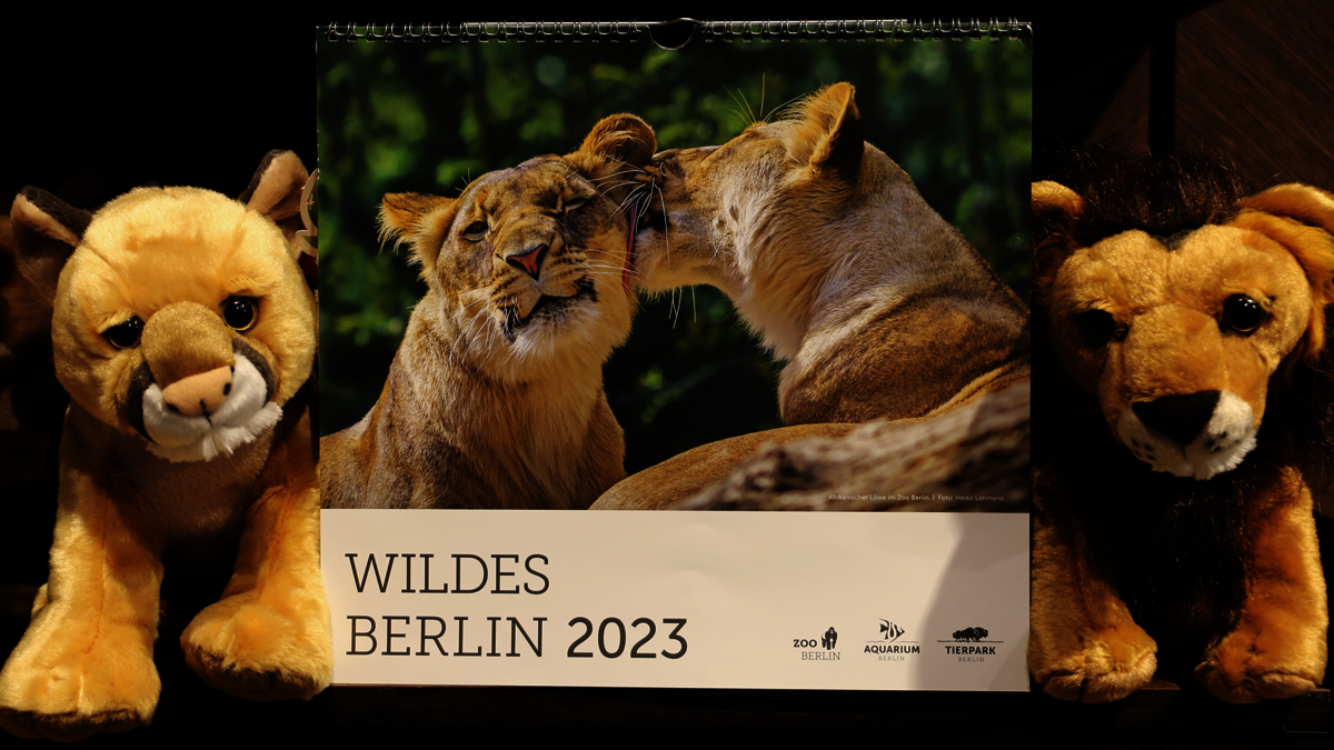 Attention, zoo fans! Zoo Berlin